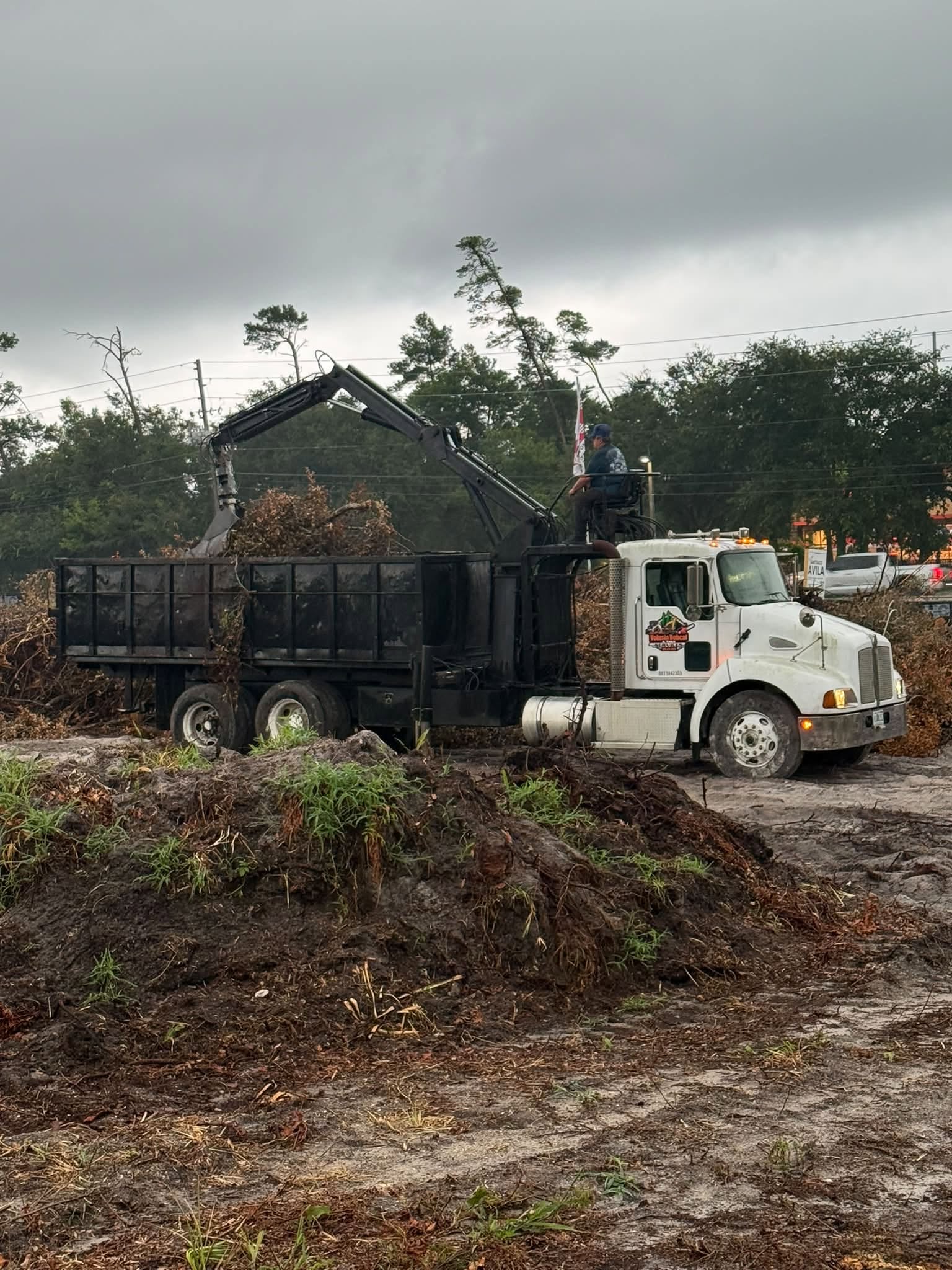 A bulldozer clearing brush in a wooded area — land clearing operation in Volusia County, Florida